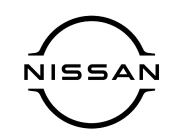 nissan custom theme